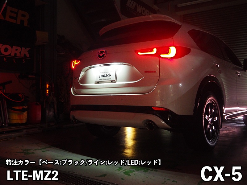 LEDトランスエンブレム 【LTE-MZ2】