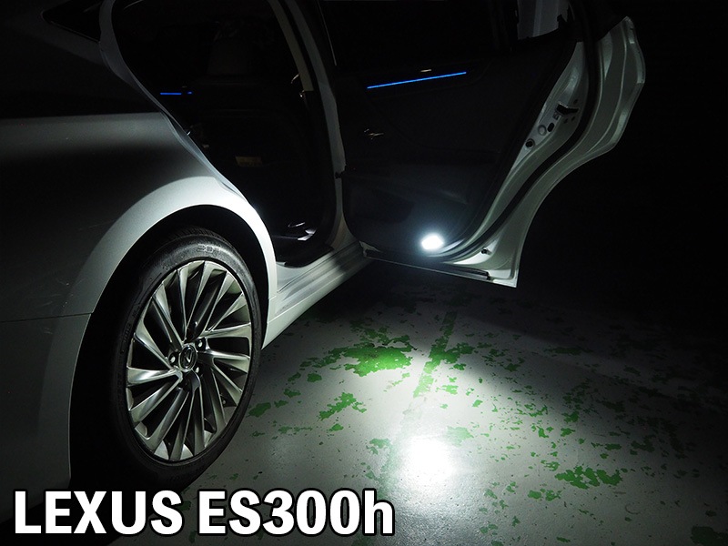 LEDドアランプ 純正LED交換タイプ 【DLT-#】シリーズ