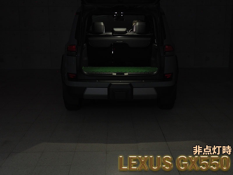 LEDISTカーゴランプ　LEXUS / GX550