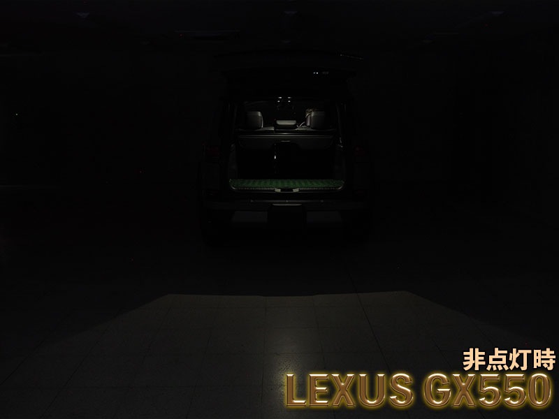 LEDISTカーゴランプ　LEXUS / GX550