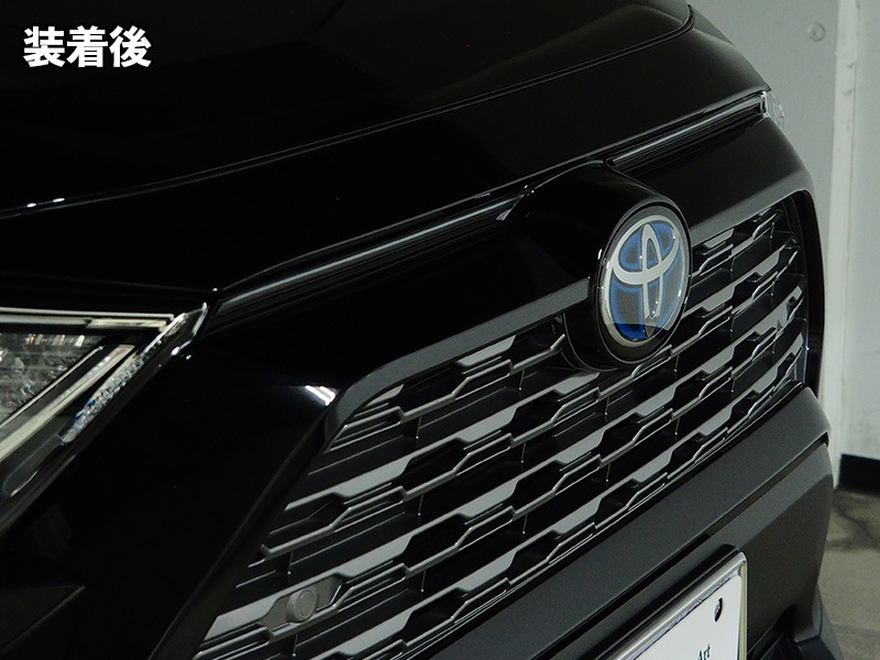 LEDZARD グリルイルミネーション for トヨタ RAV4【LZR-GI-T1#】