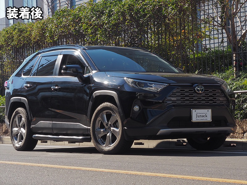 LEDZARD グリルイルミネーション for トヨタ RAV4【LZR-GI-T1#】