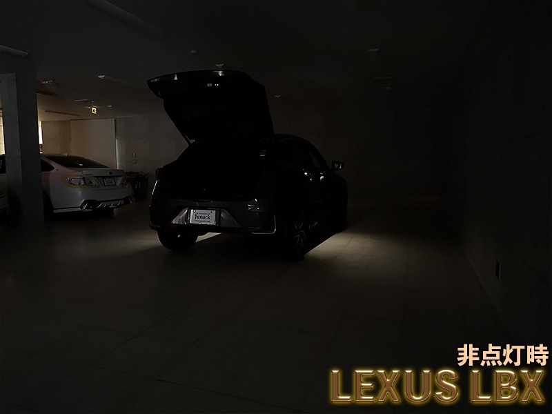 LEDISTカーゴランプ　LEXUS / LBX