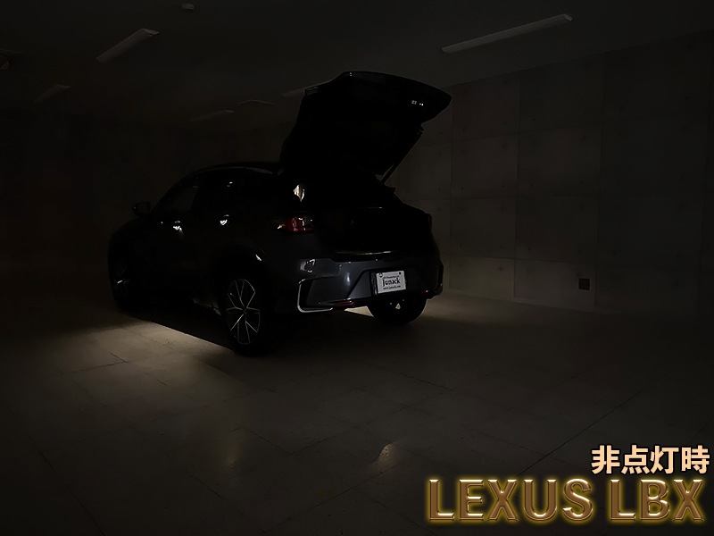 LEDISTカーゴランプ　LEXUS / LBX