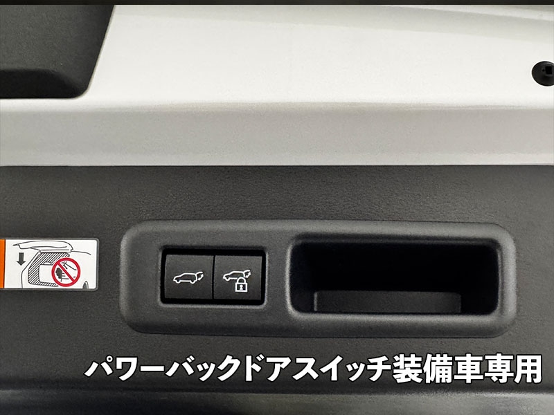 LEDISTカーゴランプ LEXUS / RX