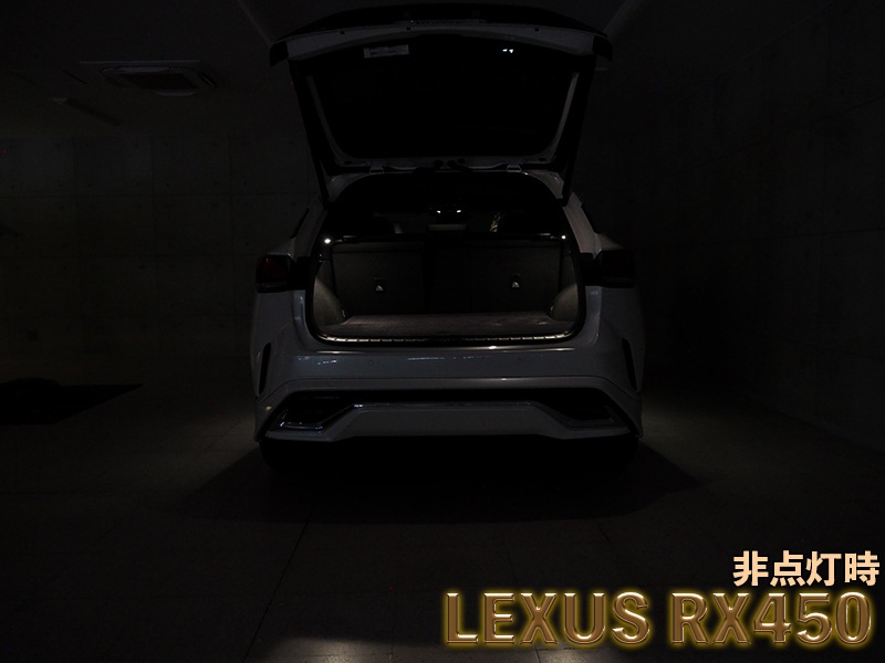 LEDISTカーゴランプ LEXUS / RX