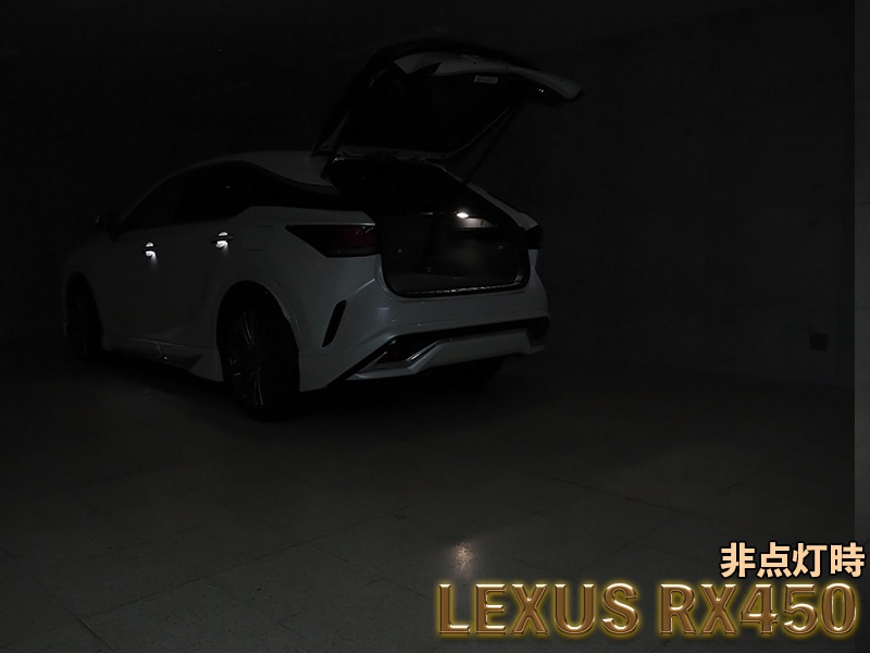 LEDISTカーゴランプ LEXUS / RX