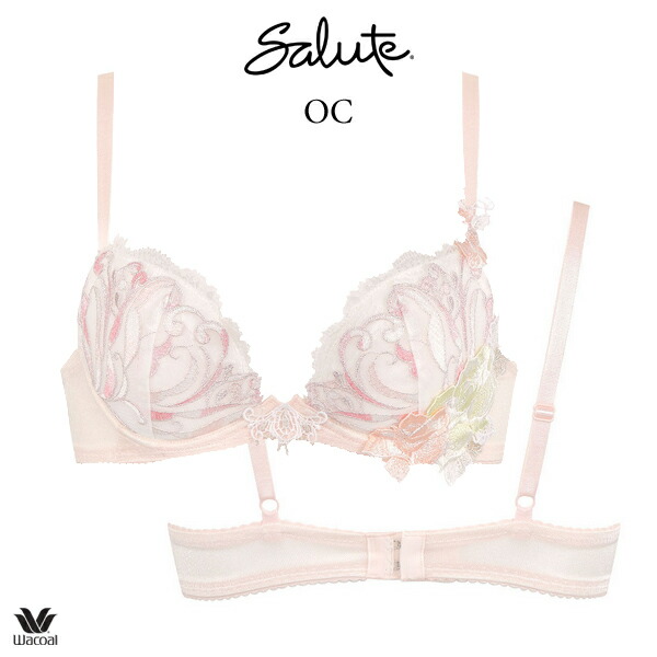 サルート Salute 66G フロントエックスブラ D65 BTJ766