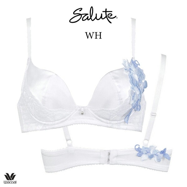 ワコール サルート ブラとショーツ BTJ479（G65）PTJ479 芳ばしく 