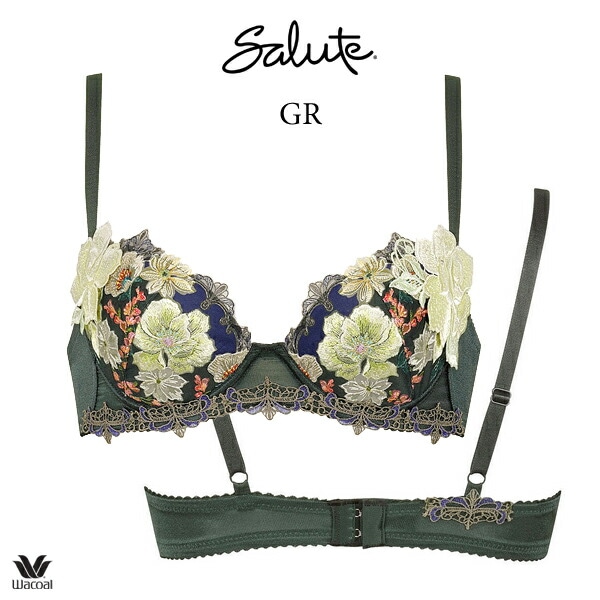 【フォロワー割引】専用 サルート BTJ493 E75/L BTJ493 VI Amazon | [ワコール] サルート Salute 93グループ ブラジャー 3