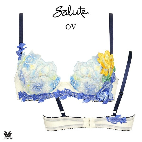 salute　サルート　06G 06グループ　C70　セット　OV salute サルート 06G 06グループ C70 セット OV - メルカリ