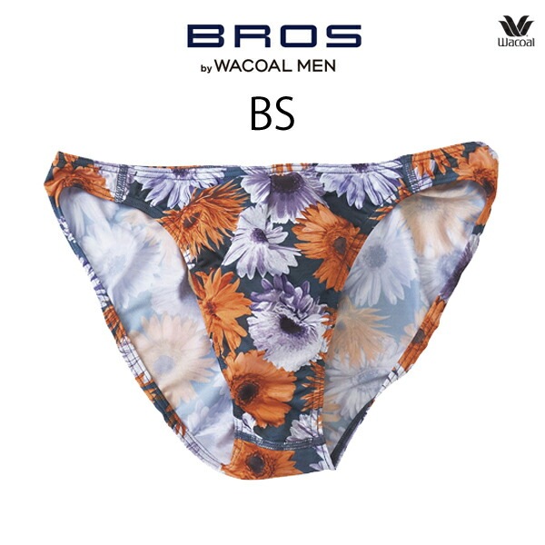 gf2220-bs