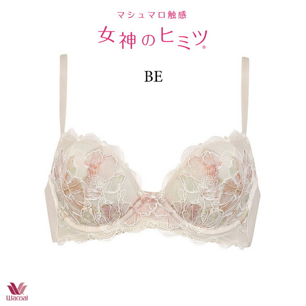 ワコールブラジャーショーツ上下セット　女神のヒミツE75L Wacoal - Wacoal 女神のヒミツ F75ブラ&ペアショーツLサイズ