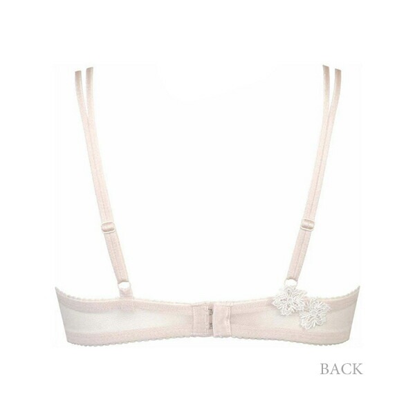 bxd409-back