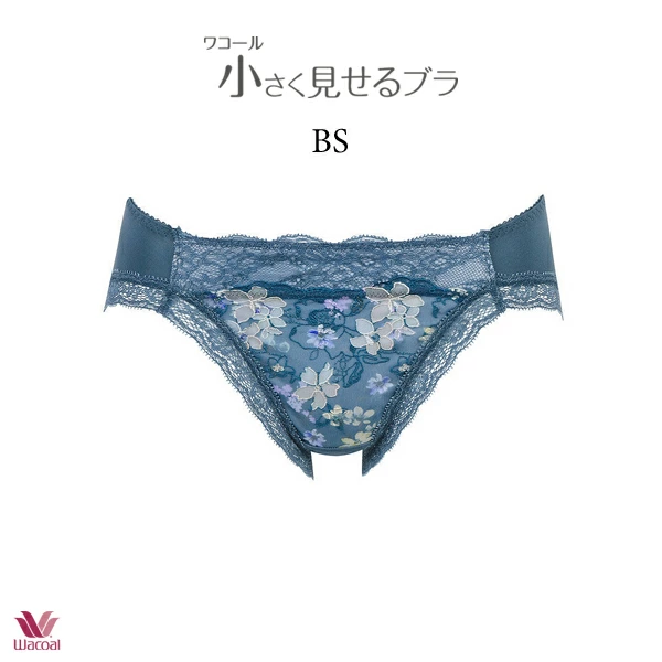 ワコール　小さく見せるブラ2枚セット ワコール 小さく見せるブラ ペアショーツ PRA123 M・L ビキニ