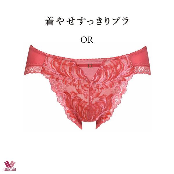 ワコールプレミアム 12G ショーツ PXD112 LL ノーマルタイプ | SALE