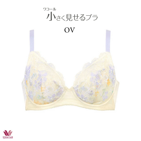 ワコール 小さく見せるブラ ブラジャー BRB423 3/4カップワイヤー DEF