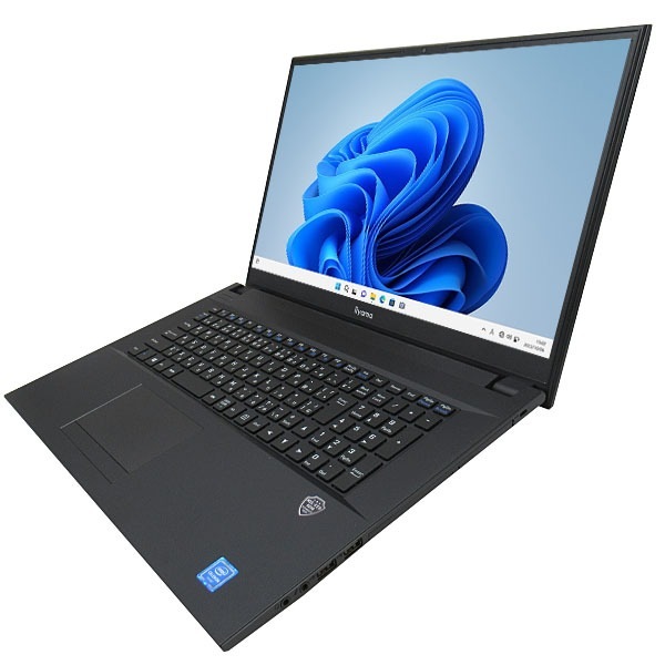 ■訳あり商品特価セール■【訳あり品】【Windows11 64bit】【WEBカメラ】【テンキー付】【メモリー8GB】【SSD250GB】【無線LAN】【DVDマルチ】【フルHD液晶】【17インチ液晶】【ノートパソコン】【中古】iiyama IStNxi-17FH045 （1852700）