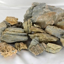 �����Сʤ��Ӥ�����10���