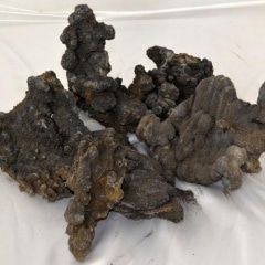 �Ź���(���󤳤�����)10���