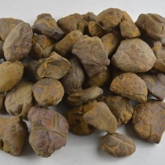 ������(����������)10kg