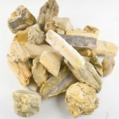 �ڲ���(�⤯������)10���