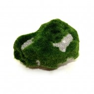 ¤��ŷ����