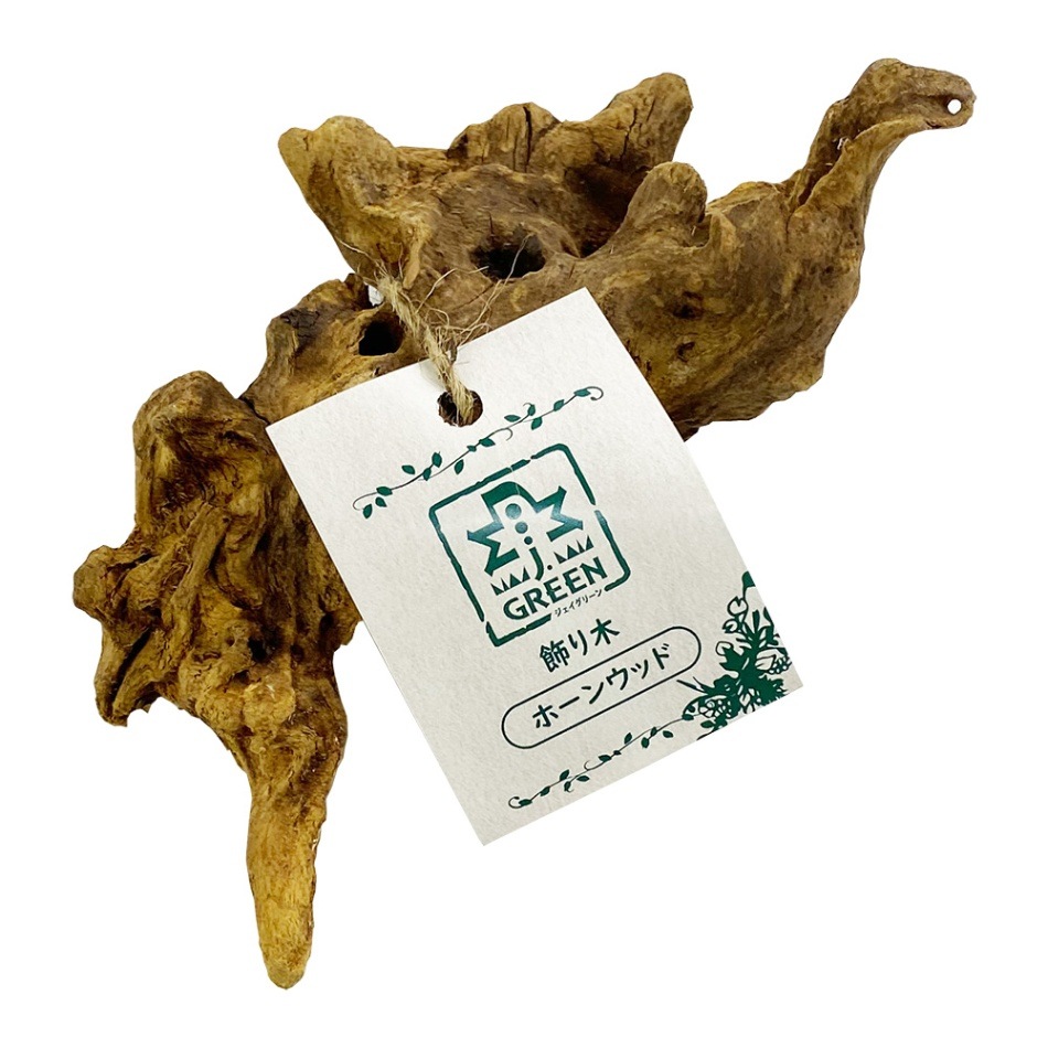 飾り木 ホーンウッド J.GREEN（土・底砂・レイアウト素材・乾燥ゴケ）,園芸用レイアウト用品 アクアリウム専門店【 JUN