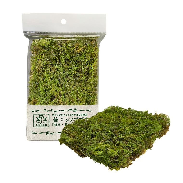 苔 シノブゴケ | J.GREEN（土・底砂・レイアウト素材・乾燥ゴケ）,乾燥