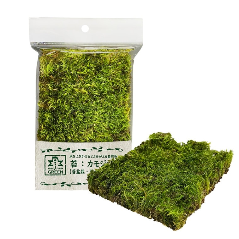 �ݡ����⥸����