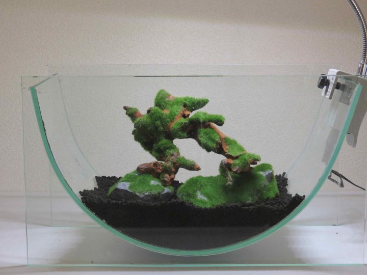 ¤����ŷ��ή��L