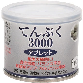 Ƥפ3000֥å