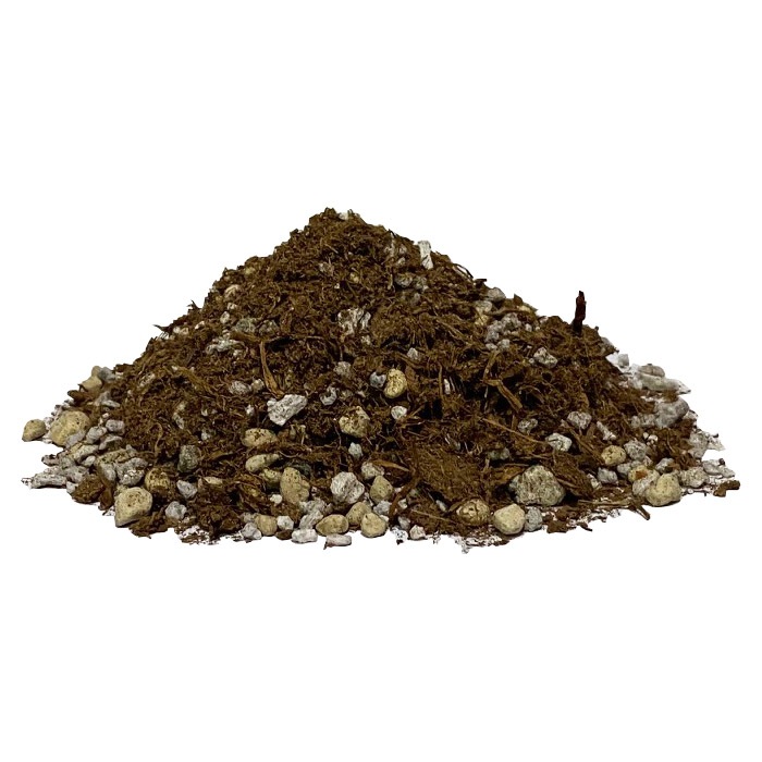 �����������ڡ�2.5L