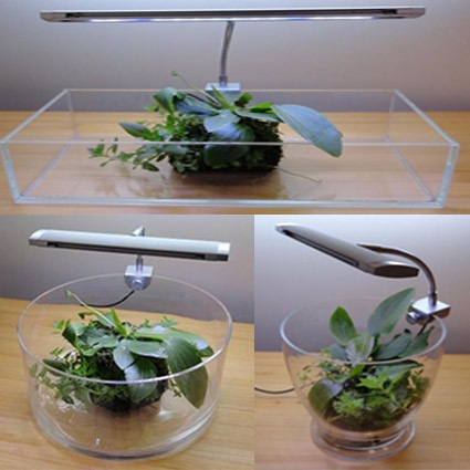 ���꡼�饤��LED17