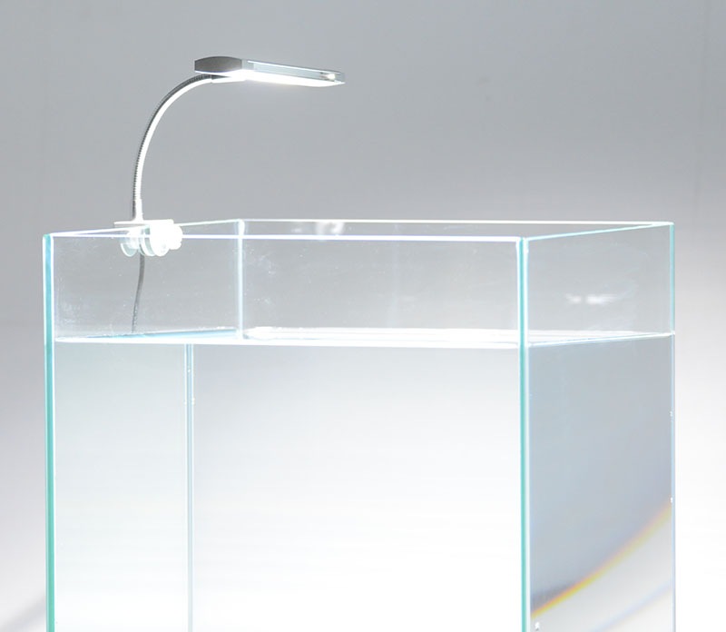 ���꡼�饤��LED17