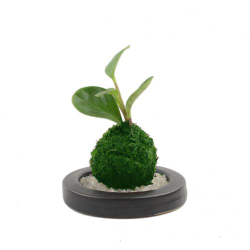 ��ǥ�󥰥�����1L