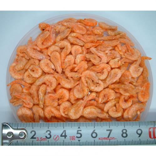 ������γ�ץ�ߥ��९���20g