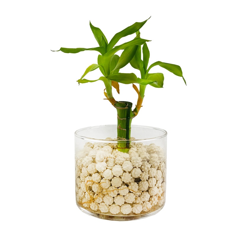 ��������ܡ��롡��500ml