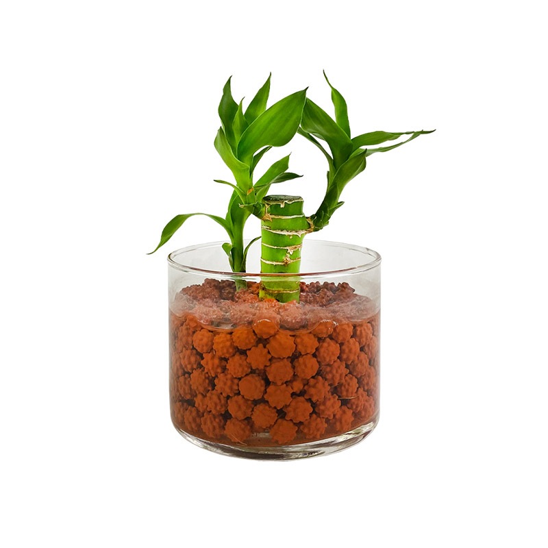 ��������ܡ��롡�֡�500ml