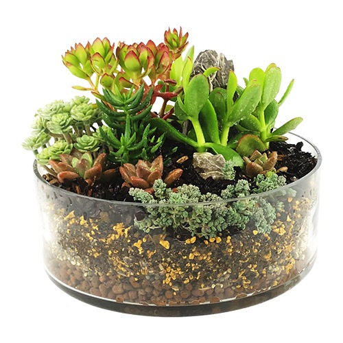 ¿����ʪ����700ml