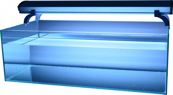 �ޥ꡼��ۥ磻��15000K39W