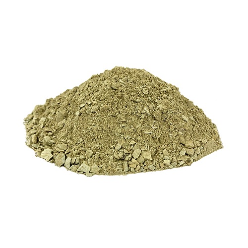 �ͥ�����ʥ���