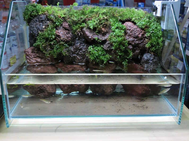 ��ǥ�󥰥�����1L