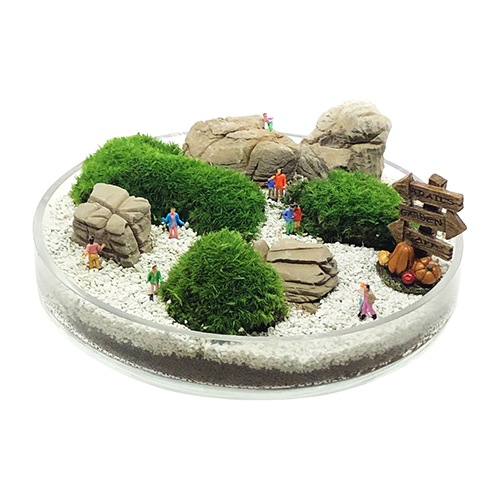 ���꺽���ۥ磻�ȥ����