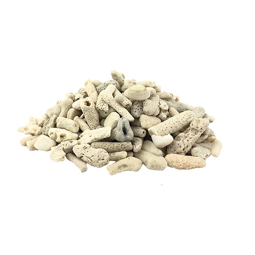 ���꺽�����ݥ���ȥ���