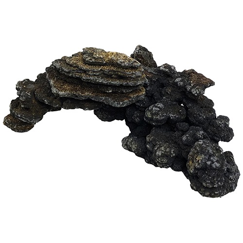 �����С����󤳤���