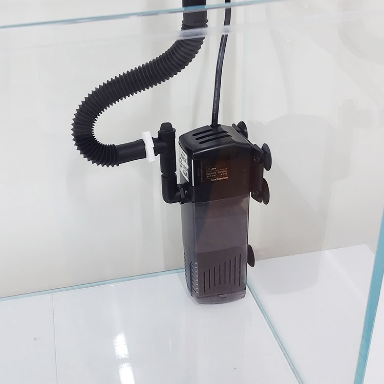 V3�ݥ���ե�������600