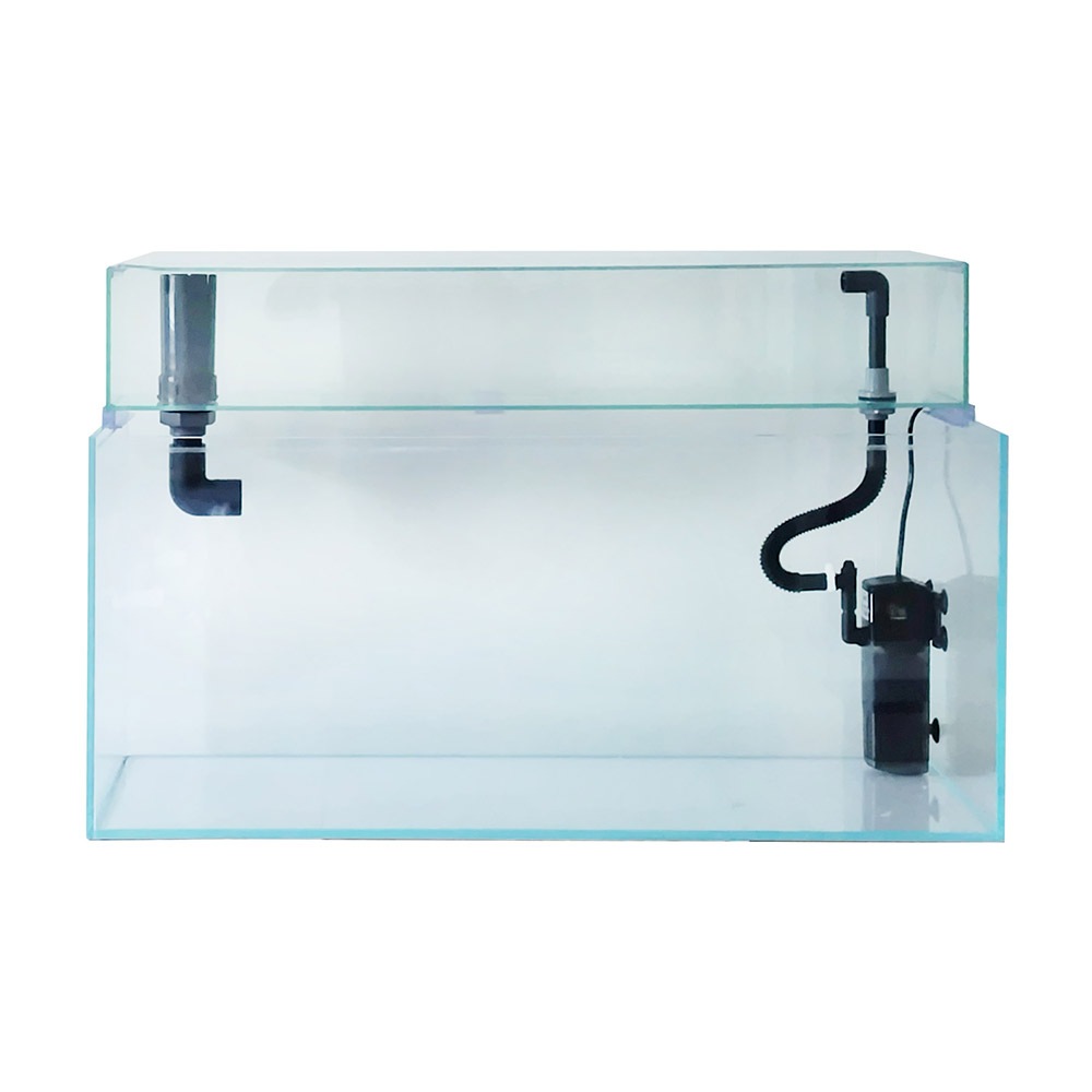 V3�ݥ���ե�������600