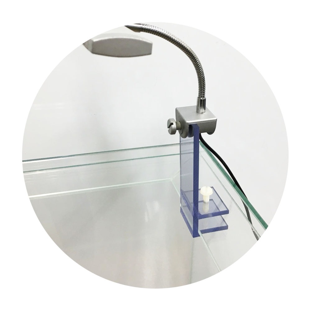 �����å����ȥե����