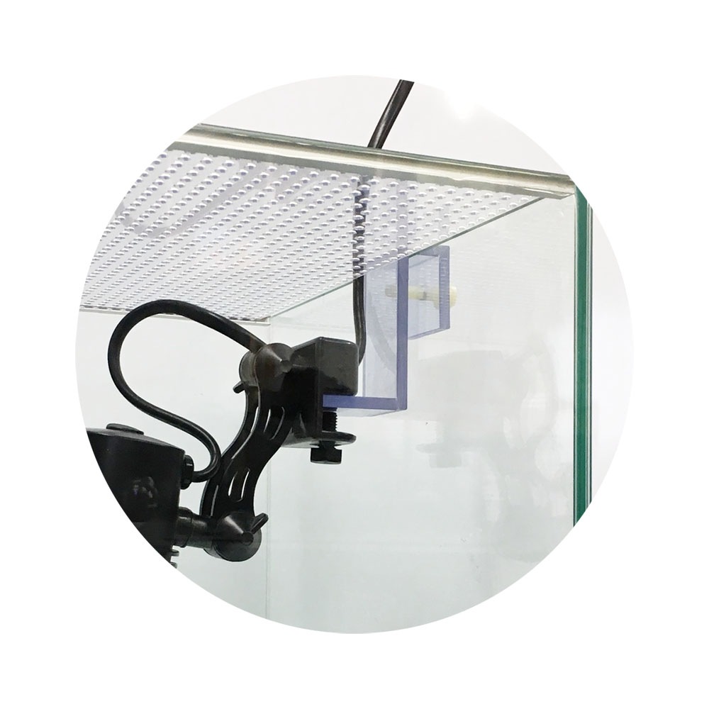 ���󥯥��󥢥��å�����